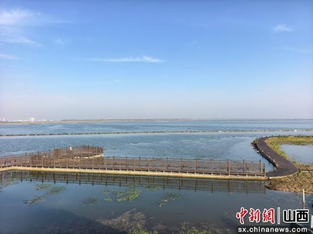 主办方供图