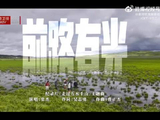 张杰新歌前路有光全网上线，献唱走过万水千山主题曲