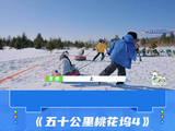 吉娜雪地运动跑得好快，平常保持训练
