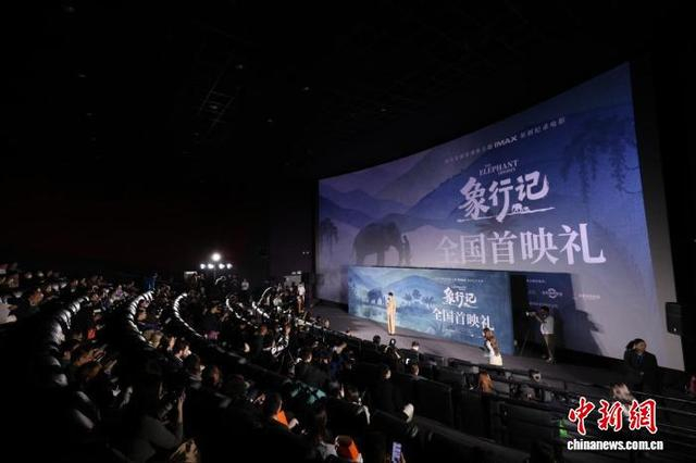 首映礼现场。主办方供图