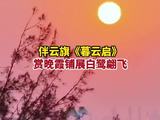 伴云旗暮云启赏晚霞铺展白鹭翩飞