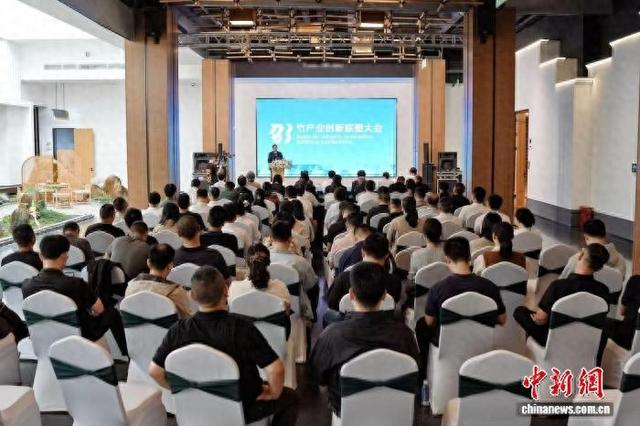 活动现场。邵武市融媒体中心供图
