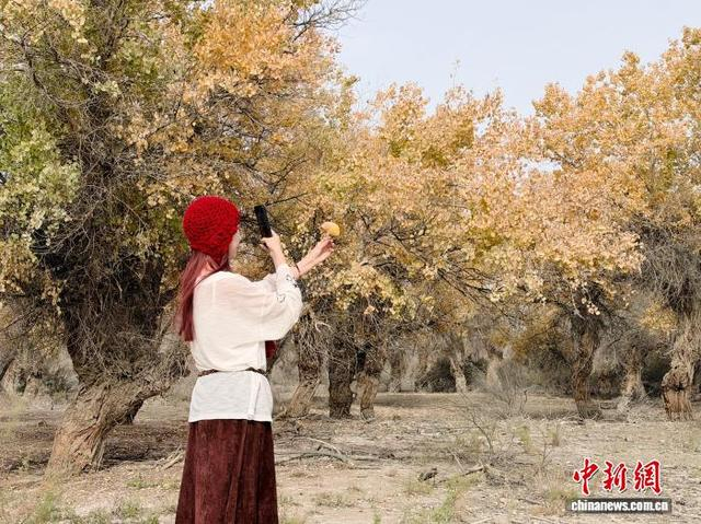 图为游客在胡杨林拍照留念。张家伟 摄
