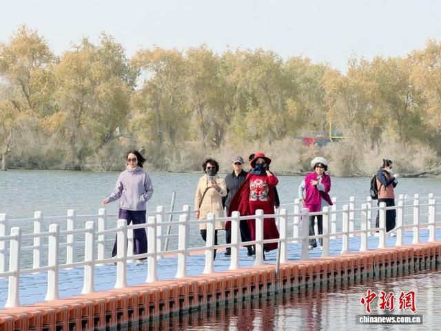 图为游客在胡杨林步行观光。张家伟 摄