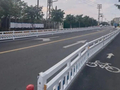 南海里水3条道路通车！