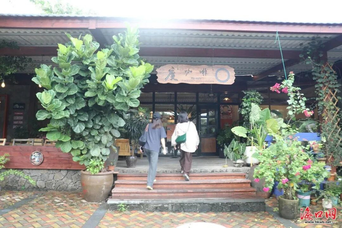 市民游客前往精品咖啡店体验石山咖啡。