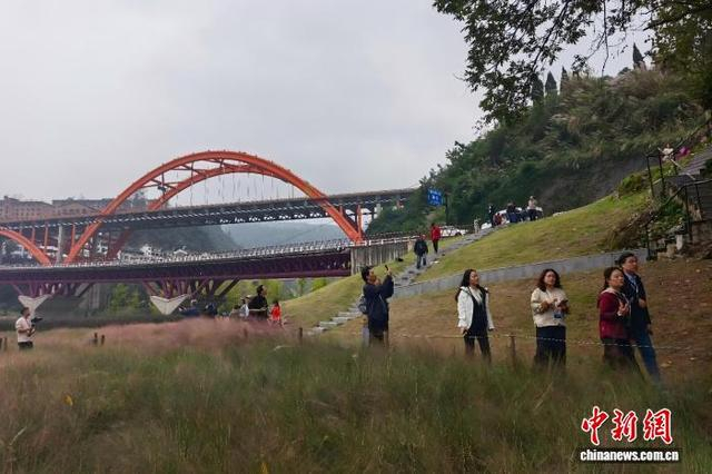 图为海外华文媒体代表行走在G348三峡公路旁的莲沱畔公园。税浪 摄 