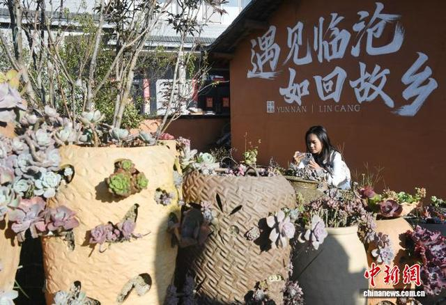 10月24日，参与活动的缅甸青年代表在临翔区碗窑村记录陶罐种植多肉。中新社记者 黄兴鸿 摄 