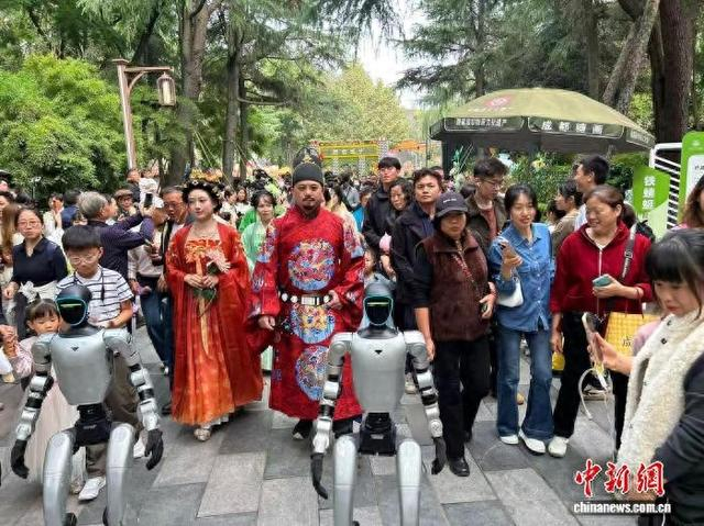 2026成都金秋菊事活动现场。成都市人民公园供图