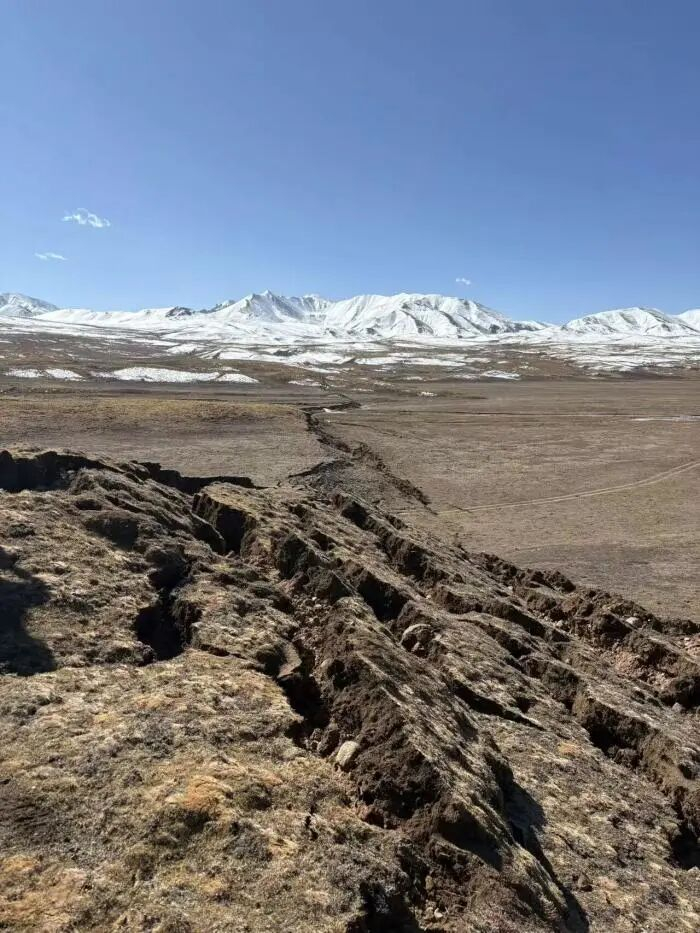 追踪调查首次发现西藏巴青7.0级地震地表破裂带。中国地震局 供图