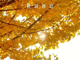 伴随郝熠然歌声赏承德深秋美景