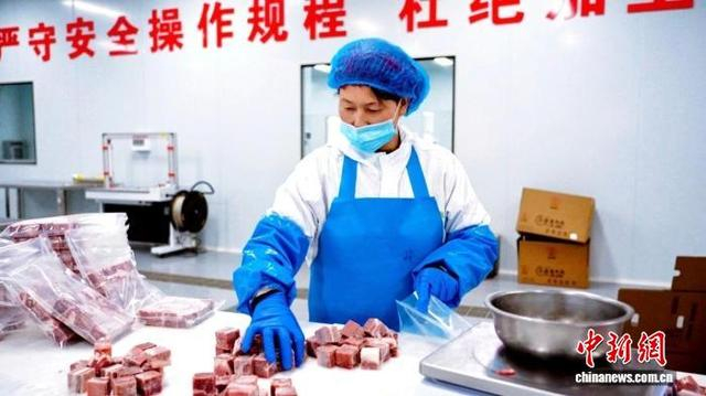 车间工人对泾源黄牛肉进行精细化分装加工，推动肉牛产业延链增值。 泾源县融媒体中心供图