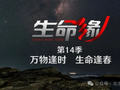 恭喜！北京卫视四部作品入选国家广播电视总局年度推优