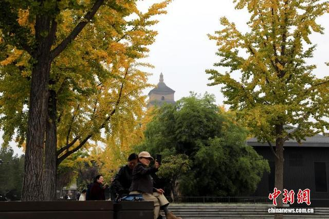 10月27日，西安大雁塔下秋色浓，吸引游客观赏游玩。图为大雁塔北广场。中新社记者 张远 摄
