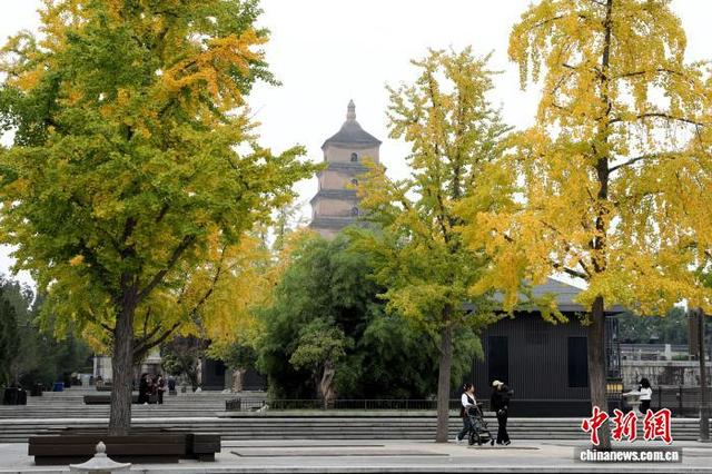 10月27日，西安大雁塔下秋色浓，吸引游客观赏游玩。图为大雁塔。中新社记者 张远 摄