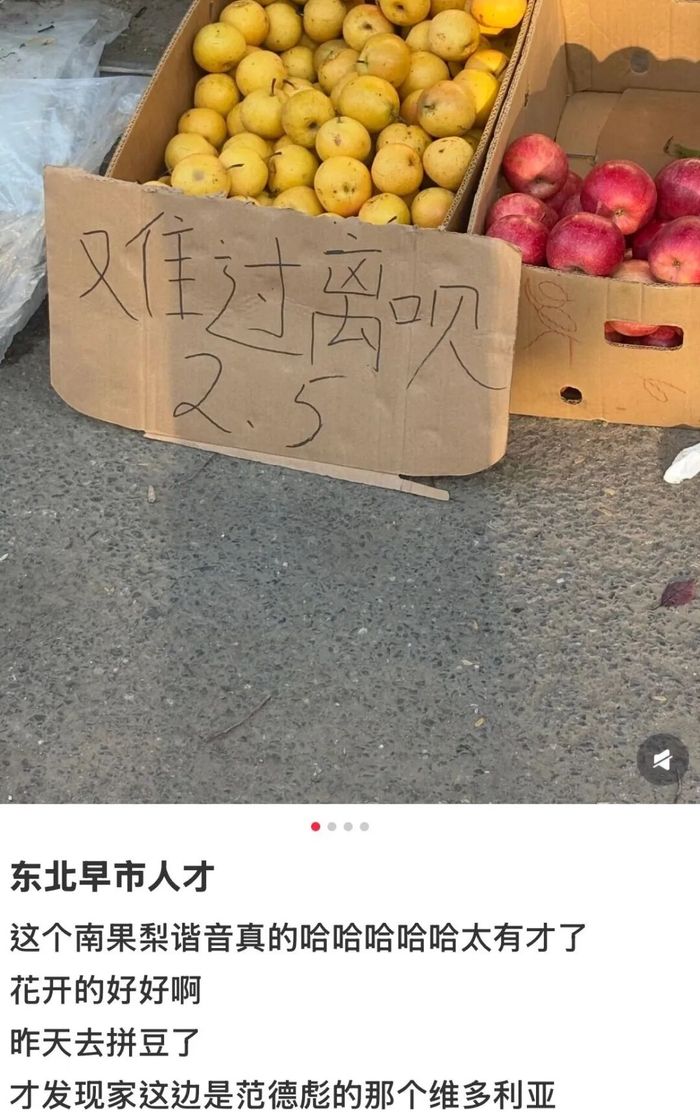 东北的幽默。（图/社交媒体截图）