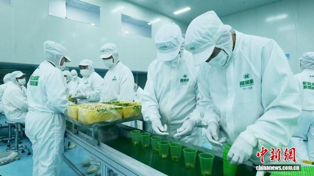图为企业工人正在装盒称重作业。受访企业供图
