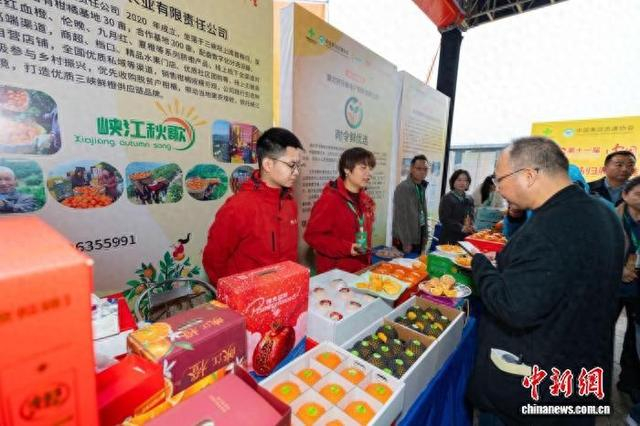 “秭归脐橙”推介展销会现场。彭强 摄