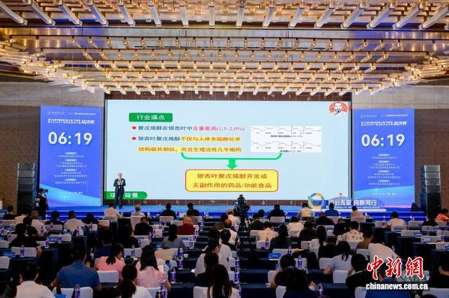 图为大赛现场。广西科技厅供图
