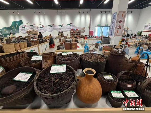 图为位于广西梧州市苍梧县六堡镇的中国六堡茶交易中心展示售卖六堡茶。陈秋霞 摄