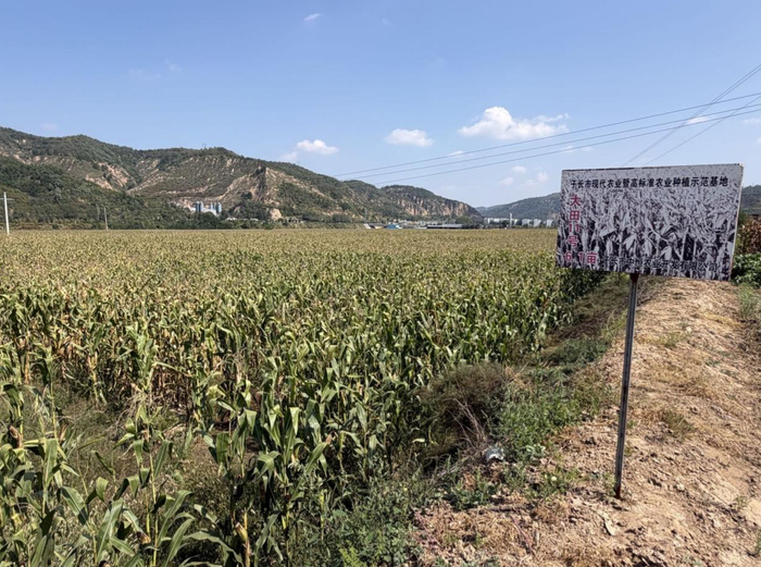 （图为子长市现代农业暨高标准农业种植示范基地。张家振/摄影）