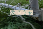 北京国安利好消息 主教练拿下月度最佳