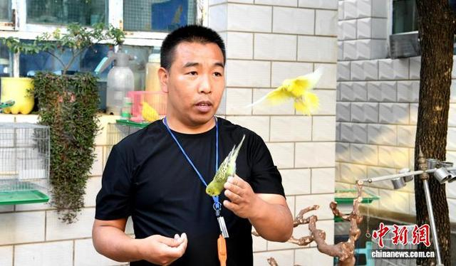 10月15日，李建刚展示驯鸟成果。武成军 摄