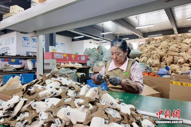 图为商城县丝瓜络生产车间。王佳宁 摄