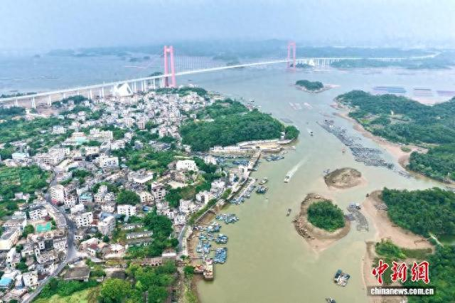 龙门大桥附近海域。黄远来 摄
