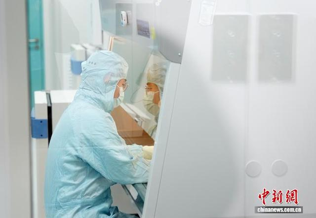 研发人员在北京一实验室内进行细胞药物制备。（资料图）中新社发 毛建军 摄