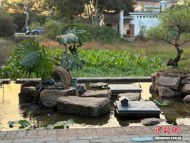 图为广西梧州龙圩区大坡镇交村，农村生活污水经过处理后水体可循环用于灌溉植物。陈秋霞 摄