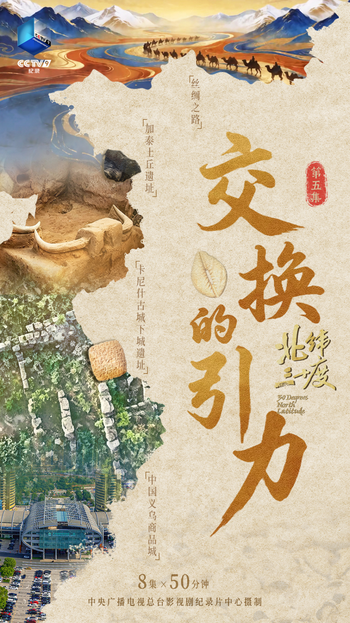 《交换的引力》海报