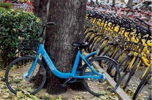 《中国经济周刊》首席摄影记者 肖翊 摄