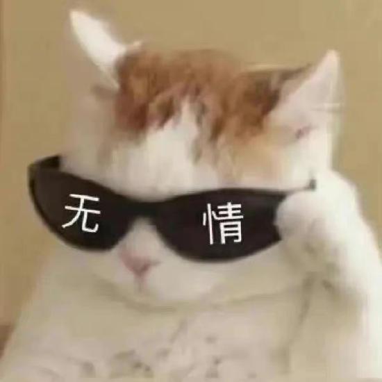 拽哥沙雕文案,拽哥沙雕文案短句