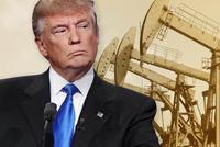 特朗普又吹牛:美国不需要中东石油了 这要感谢我!
