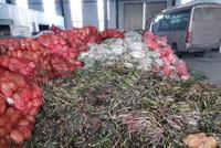 鄂州回应获赠蔬菜烂仓库:运输中变质 分拣集中堆放