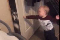 GIF|看看谁能斗过谁