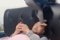 GIF|对爸爸的日常摧残