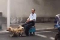 GIF|真正的低碳出行