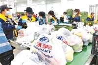 上海朝晟食品成立仅6天参与保供?公司回应:出于好意