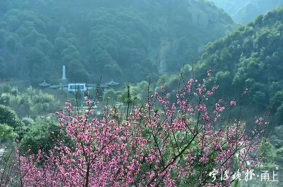 　图据九峰山旅游区