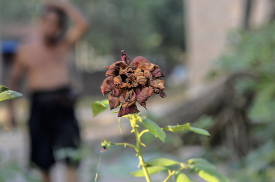  资料图 图据IC photo