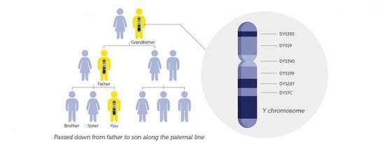 28 年前的南医大藏尸案告破，DNA 技术是怎么成为「法证先锋」的？