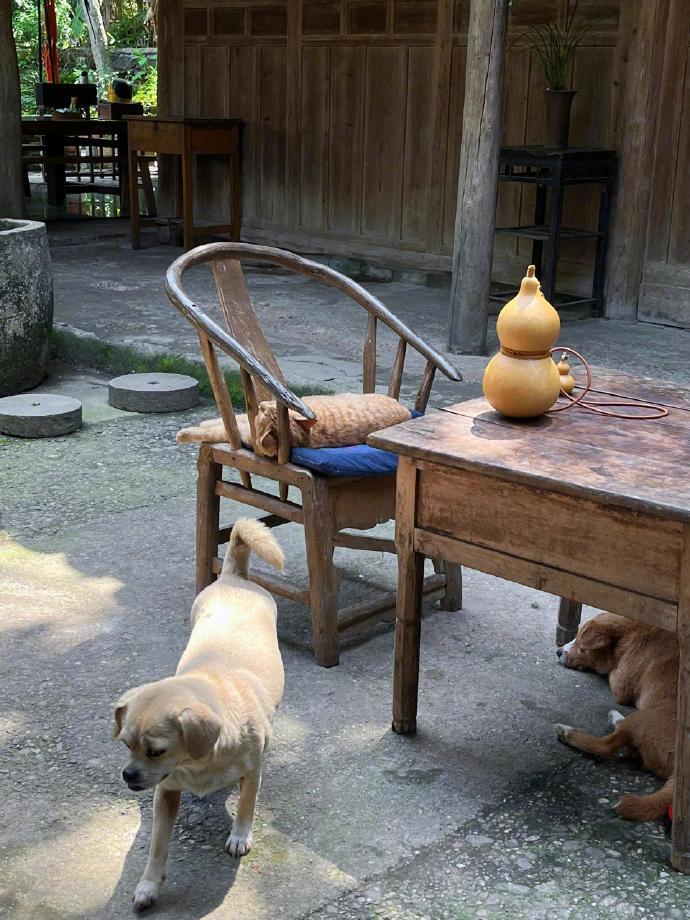 婚姻幸福三要素：经济基础、睡眠和谐、情感共鸣