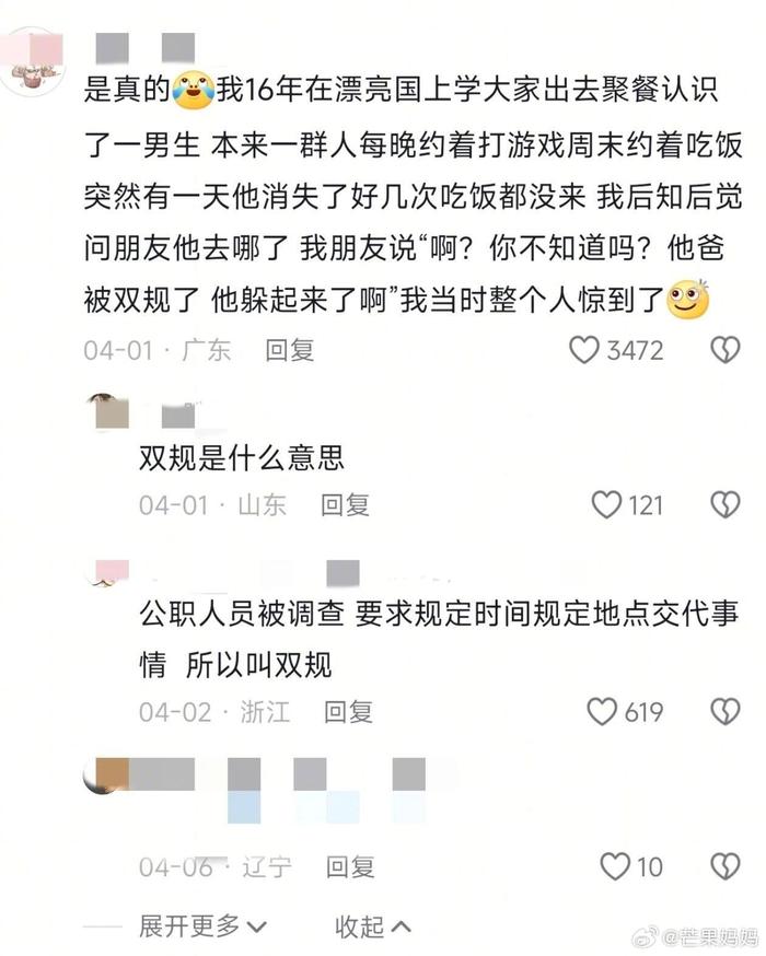 留子家庭背景引热议，隐私边界何在