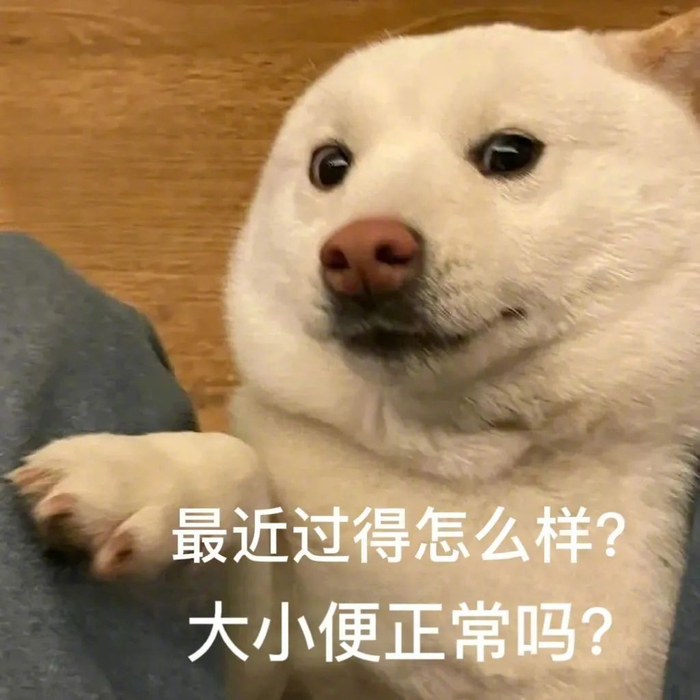 小猫咪搞笑表情包走红,网友直呼可爱