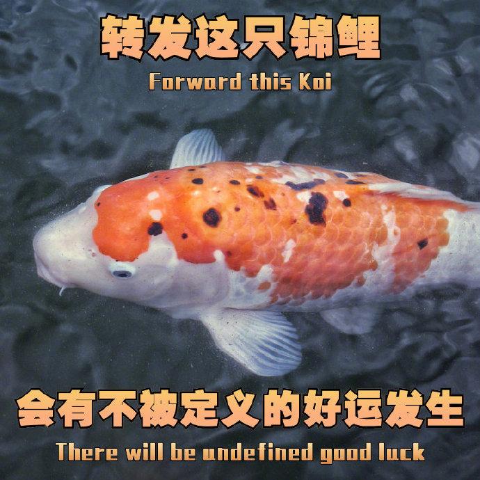 网友转发星座运势接好运许愿惊喜