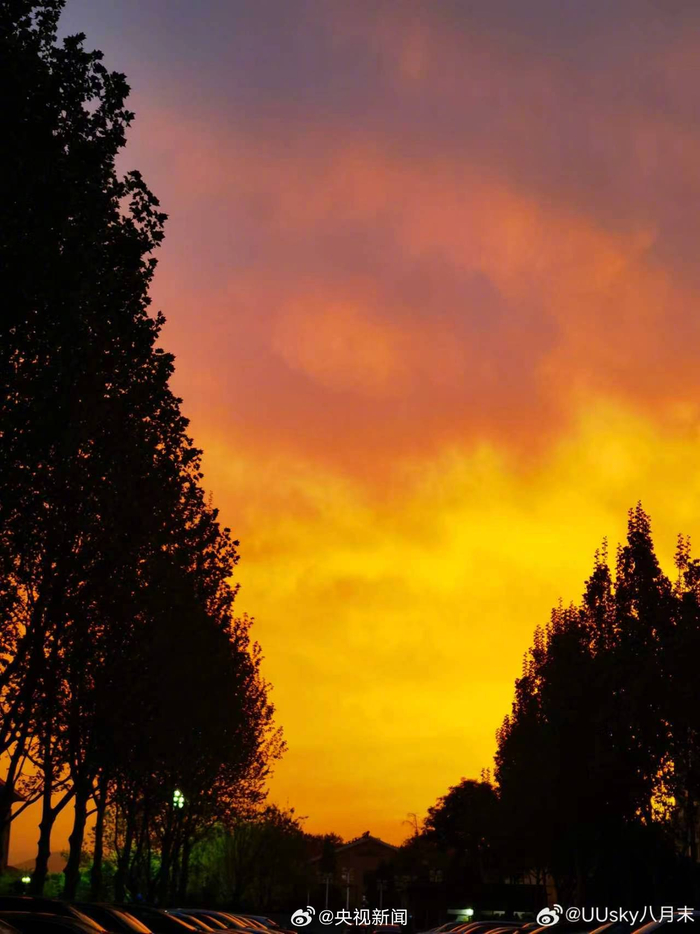 50分26秒！2026北京亦庄人形机器人半程马拉松冠军出炉 — 新京报