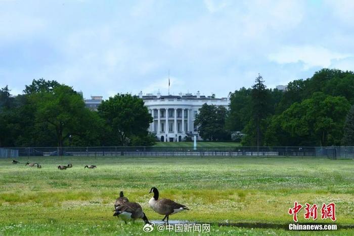 白宫公布美乌总统会谈日程表