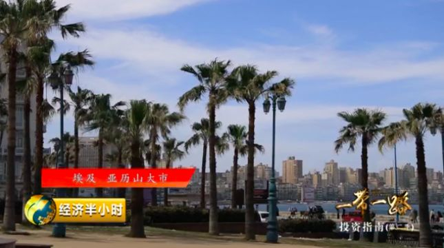 埃及亚历山大市